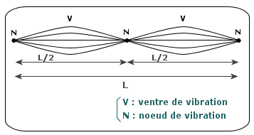 vibration-corde-tendue